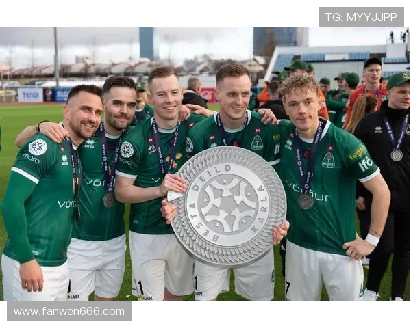 冰岛足球明星的崛起与国家队的辉煌成就探讨